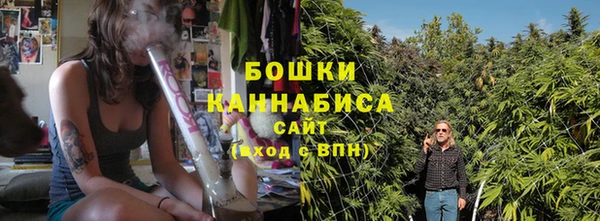 PSILOCYBIN Аркадак