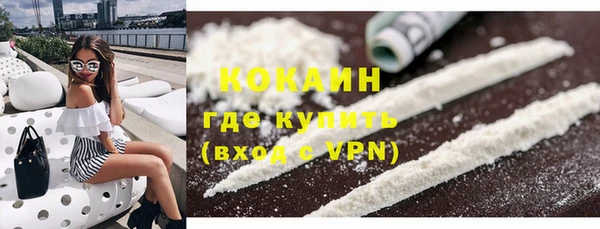 PSILOCYBIN Аркадак